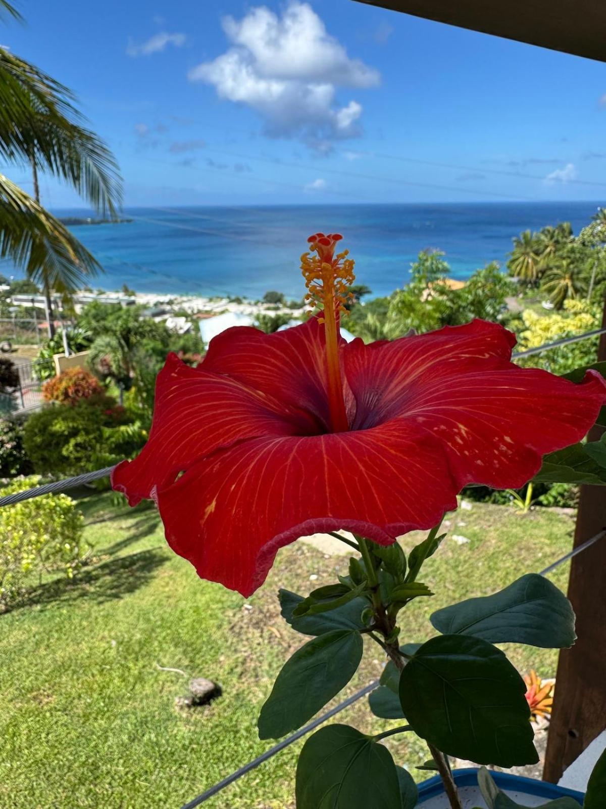 Villa Beau Soleil 3 Bedroom, Ocean View Home Belmont Exterior photo